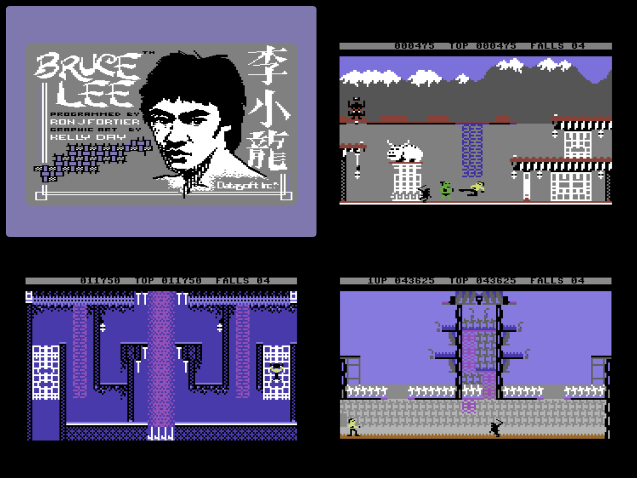 Photos from the C64 version of Bruce Lee