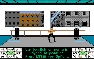 Bruce Lee Lives in-game screenshot